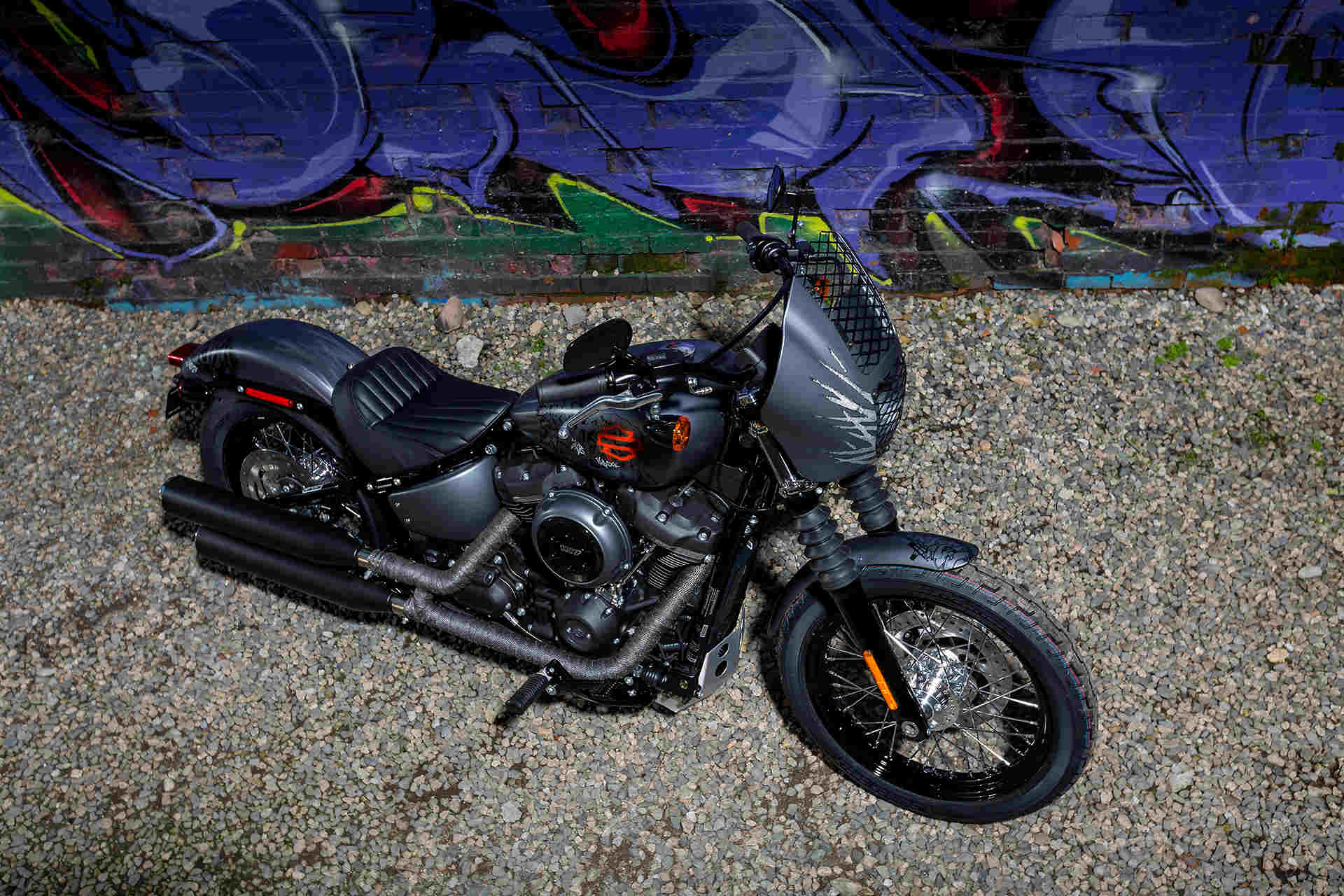 Street bob 2019 deals custom